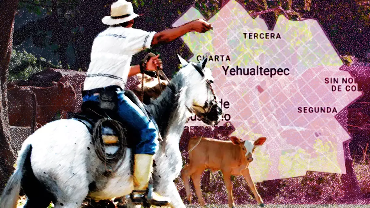 Matan a joven ganadero durante un intento de asalto en Yehualtepec