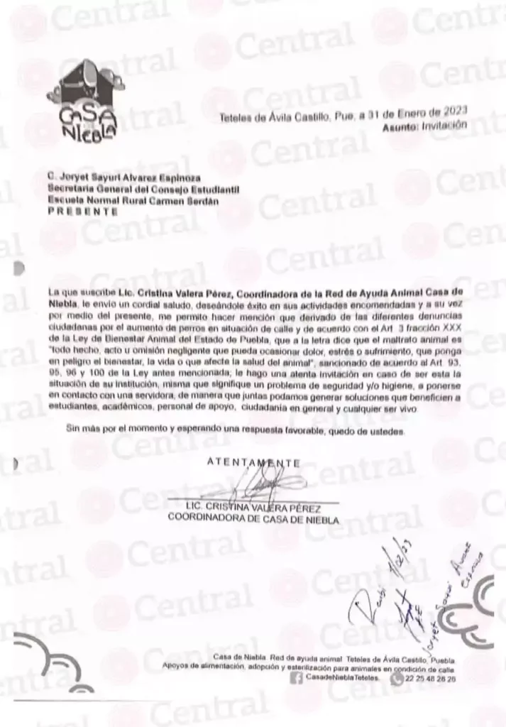Continúa envenenamiento de perros en Teteles; red de ayuda animal sospecha de normalistas