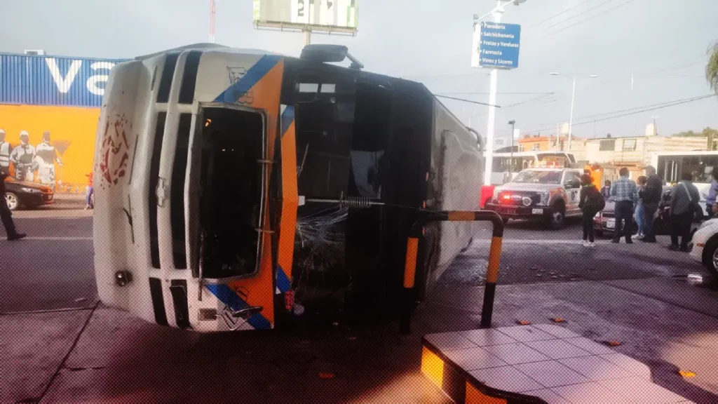 Galgos del Sur, la ruta de Puebla con más denuncias ciudadanas.
