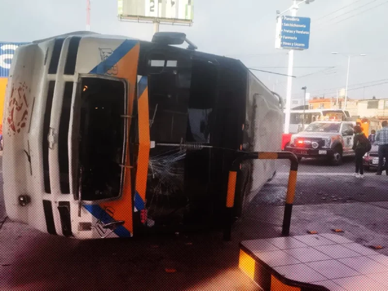 Galgos del Sur, la ruta de Puebla con más denuncias ciudadanas.