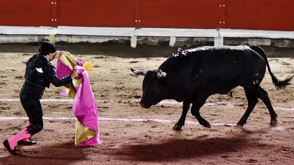 Juez cancela corrida de toros en Plaza de Teziutlán