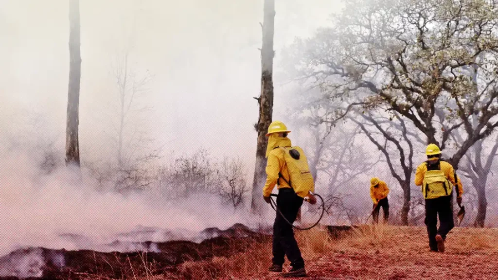 Seis incendios forestales al día en Puebla; Chignahuapan es declarado con sequía extrema
