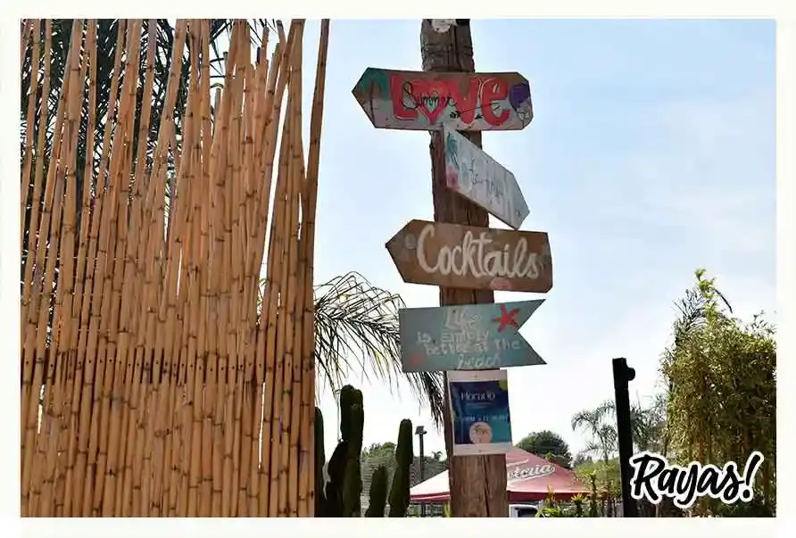 ¿Ya conoces Malibu Beach House? ¡Su temática tropical te refrescará!