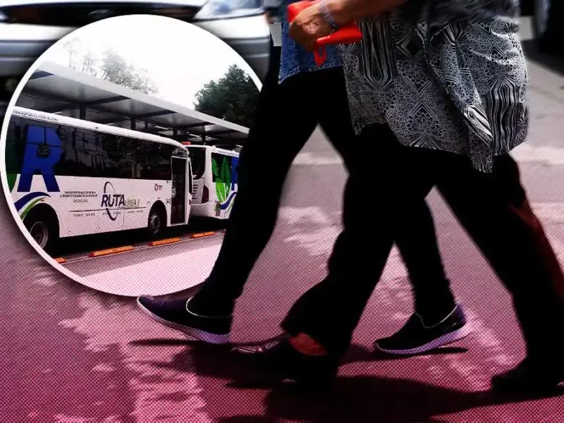 Zonas del RUTA deben ser prioridad en colocación de pasos peatonales en Puebla: urbanista