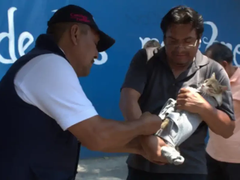 Vacunación antirrábica permanente en el municipio de Puebla