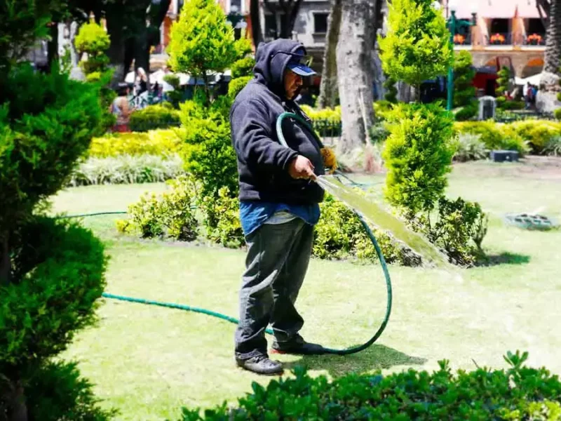 Para ahorrar agua potable, áreas verdes de Puebla serán regadas con agua tratada