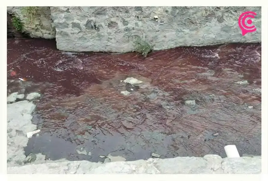 Otra vez descargan contaminantes al río Alseseca en Puebla.