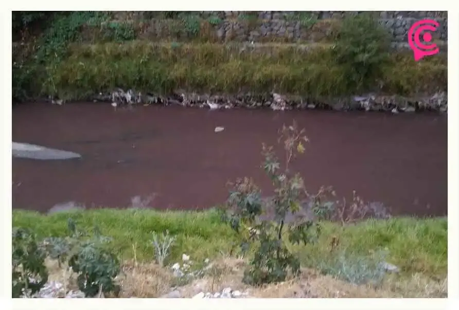 Otra vez descargan contaminantes al río Alseseca en Puebla.