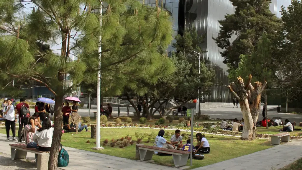 Atiende BUAP el buen estado de las áreas verdes de los campus universitarios