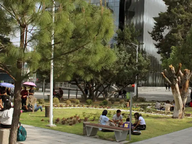 Atiende BUAP el buen estado de las áreas verdes de los campus universitarios
