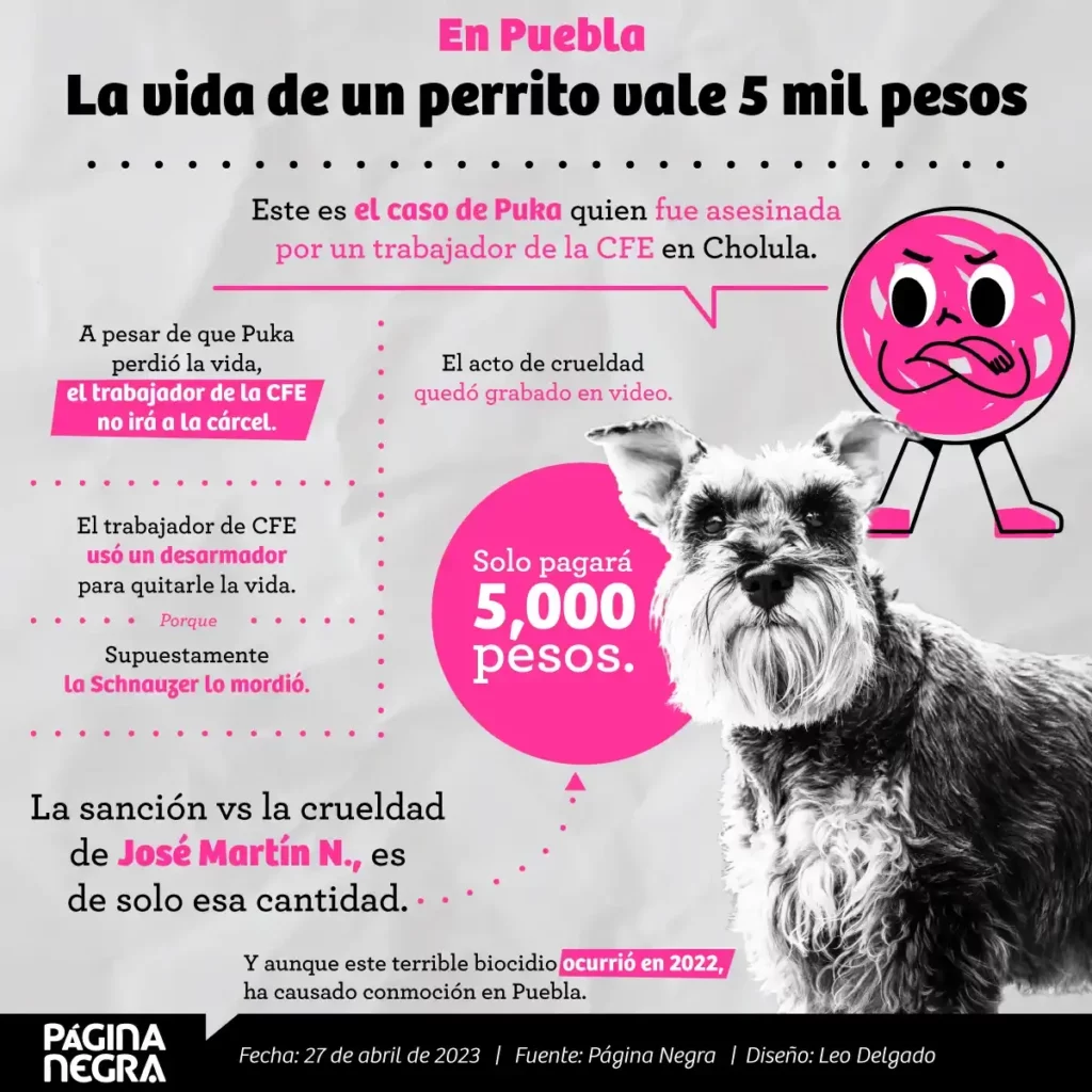 Trabajador de CFE pagará sólo 5 mil pesos, tras matar a un perro en Cholula