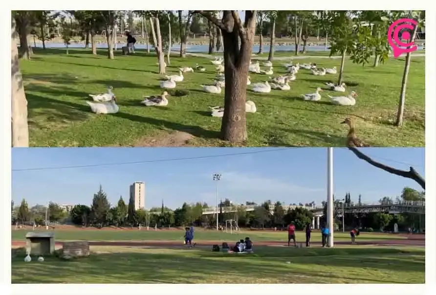 Parque del Arte luce en buenas condiciones, pero invertirán 10 mdp en rehabilitarlo