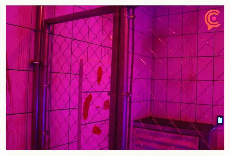 Enigma Rooms, un juego donde cuentas con 60 minutos para escapar de un cuarto