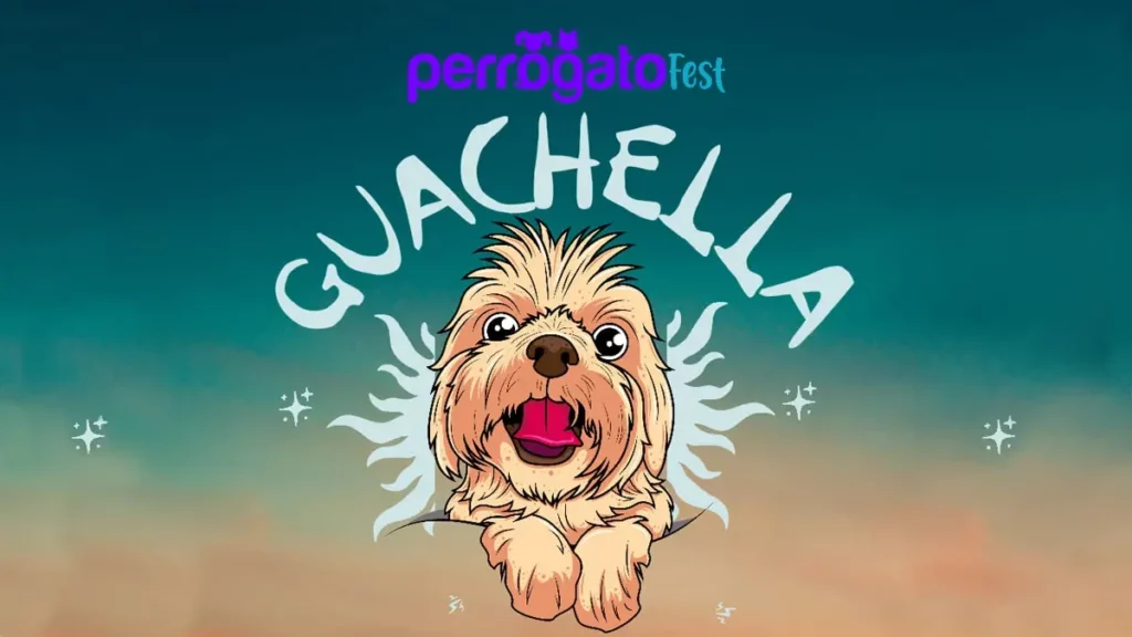 Llega a Puebla la edición 2023 del Perrogato Fest; checa los detalles.