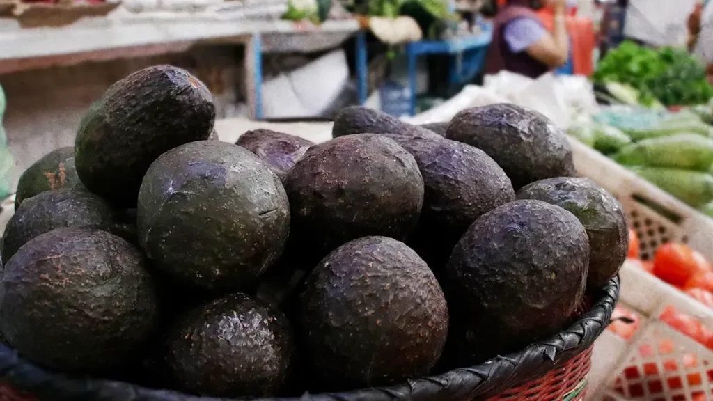 Advierten aumento en el precio del aguacate en Puebla tras granizadas 