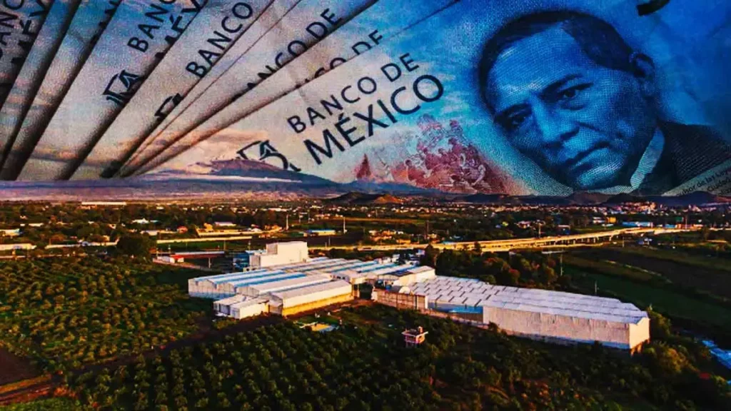 Retienen salarios de trabajadores de Plantamex en Atlixco