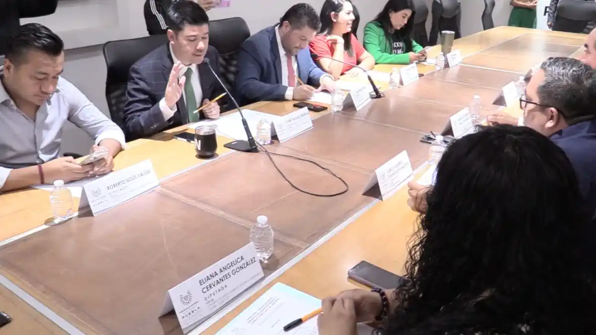 Avalan en Comisiones del Congreso exhorto para que se difunda temporada de luciérnagas en la entidad
