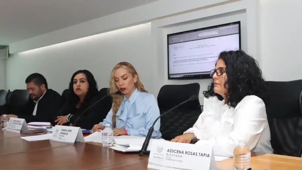En Comisión, aprueban que se declare el 11 de mayo “Día Estatal de la Lucha Contra la Violencia Vicaria”