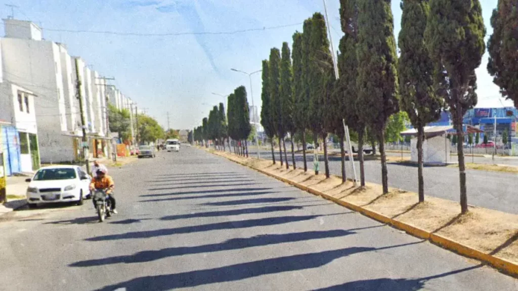 Ayuntamiento de Puebla investigará caída de seis árboles en Boulevard Xonacatepec