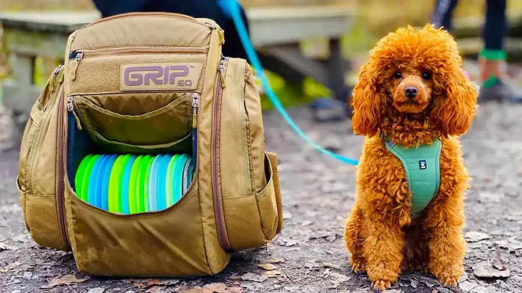 Arma la mochila de emergencia para tus mascotas, ¡aquí te decimos qué debes incluir!