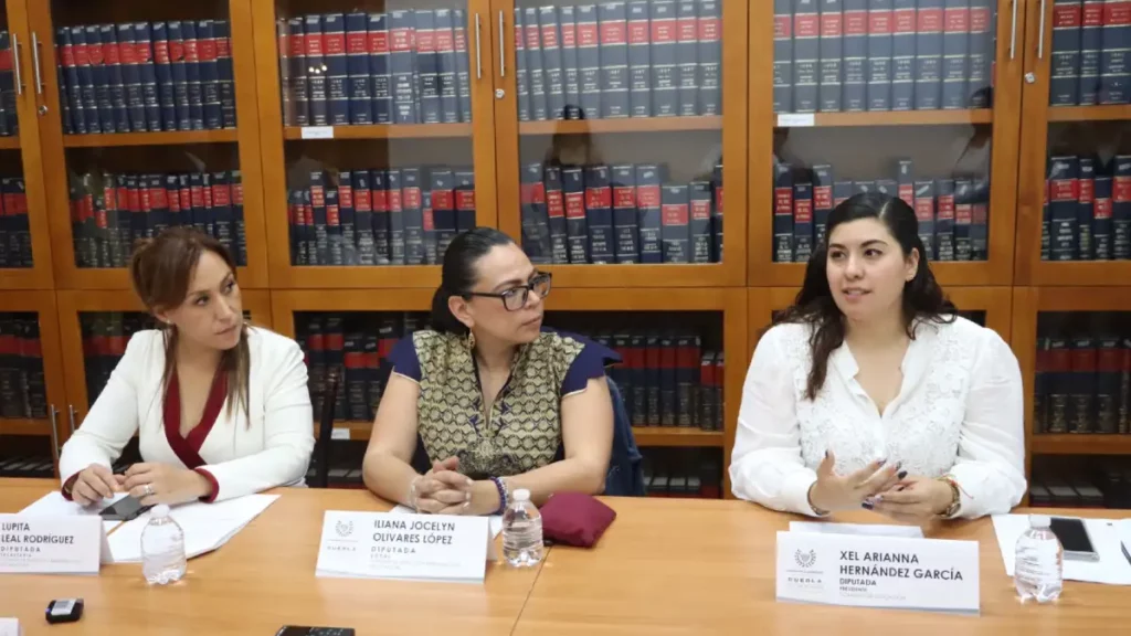 Presentan avances de la consulta pública ante la Comisión de Atención a Personas con Discapacidad de la LXI Legislatura