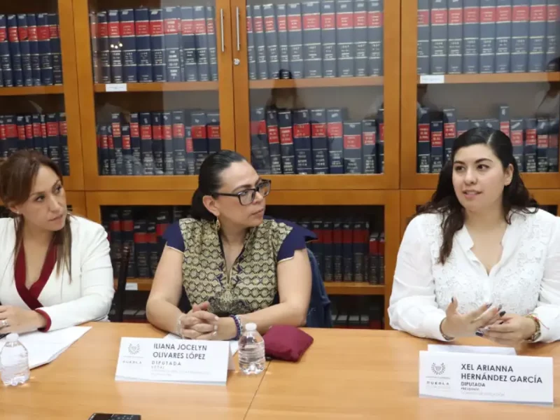 Presentan avances de la consulta pública ante la Comisión de Atención a Personas con Discapacidad de la LXI Legislatura