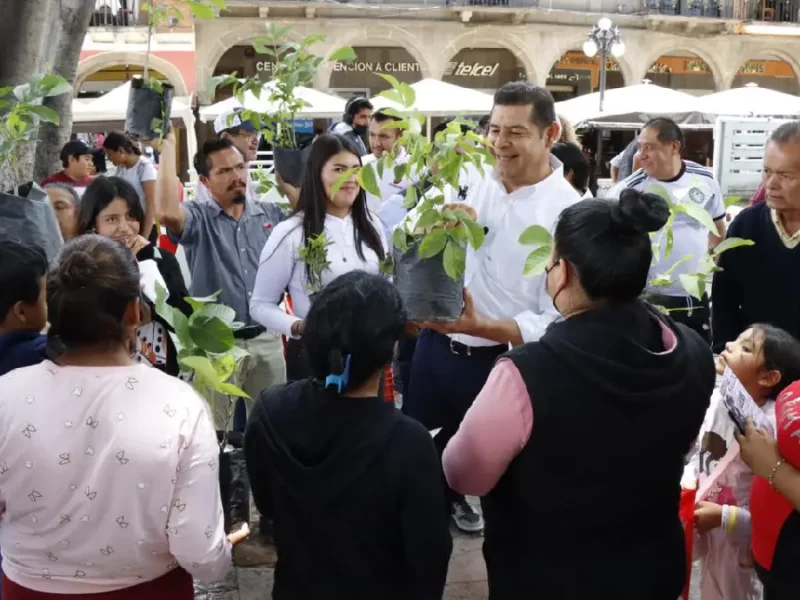Armenta entrega árboles en el Centro Histórico