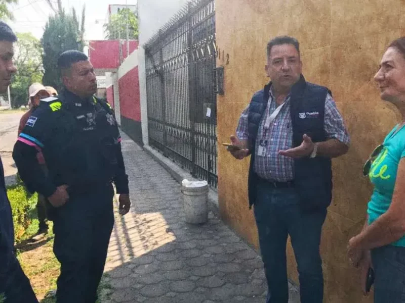 Vecinos de El Mirador detienen poda salvaje de árboles; no tenían permisos