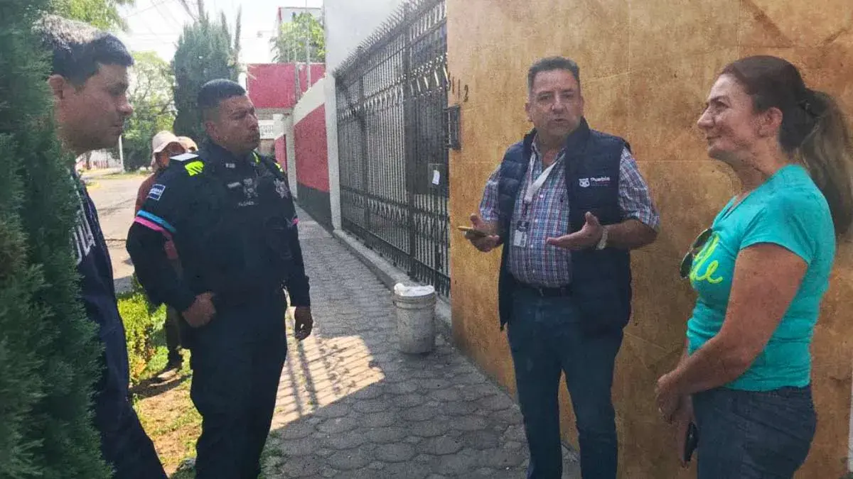 Vecinos de El Mirador detienen poda salvaje de árboles; no tenían permisos