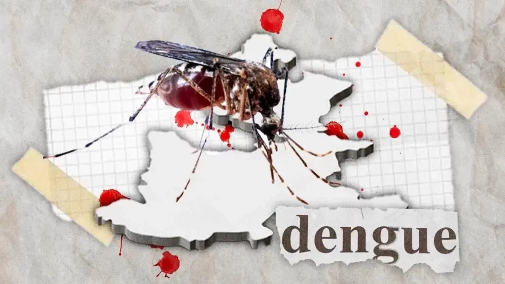 En lo que va del año, casos de dengue en Puebla han aumentado hasta 1000%