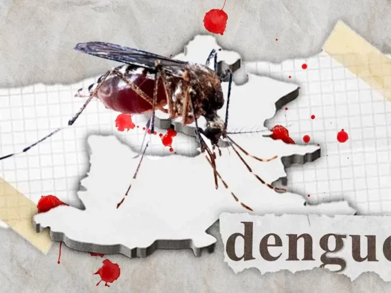 En lo que va del año, casos de dengue en Puebla han aumentado hasta 1000%
