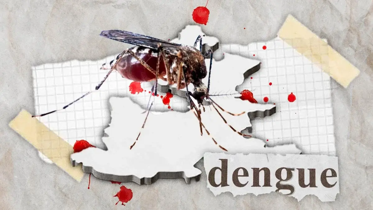En lo que va del año, casos de dengue en Puebla han aumentado hasta 1000%