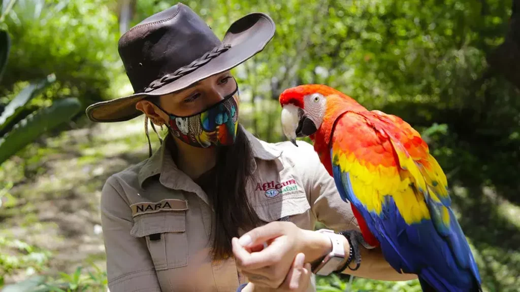 Estas son las vacantes que ofrece Africam Safari; te decimos dónde postularte.