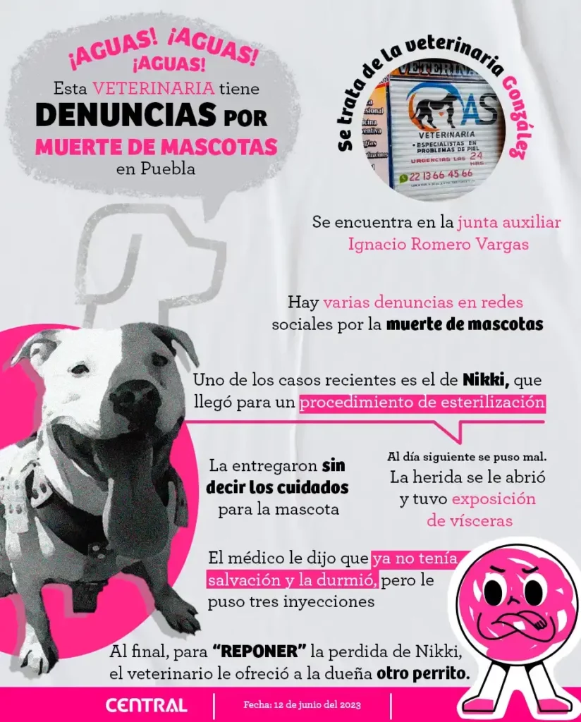 Por muerte de mascotas denuncian a la veterinaria González en Puebla 