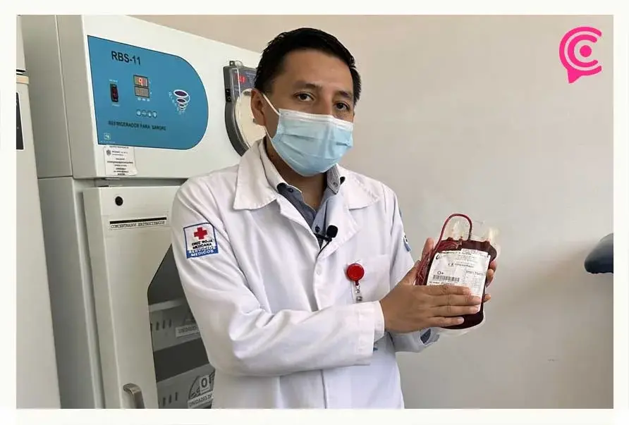 Plasma, plaquetas, eritrocitos, estas cosas que debes saber sobre la sangre