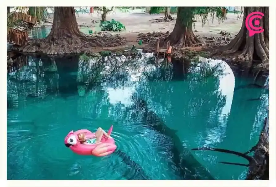 Refréscate en Los Ahuehuetes, manantial de agua cristalina en Puebla.
