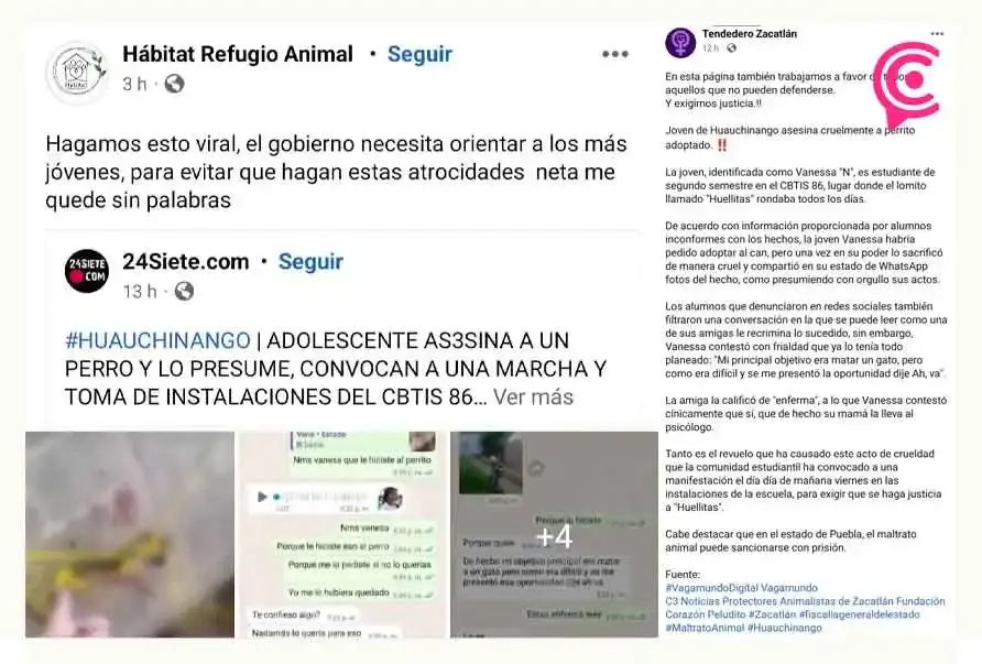 Activistas de Puebla exigen justicia por “Huellitas”, el cachorro asesinado en Huauchinango