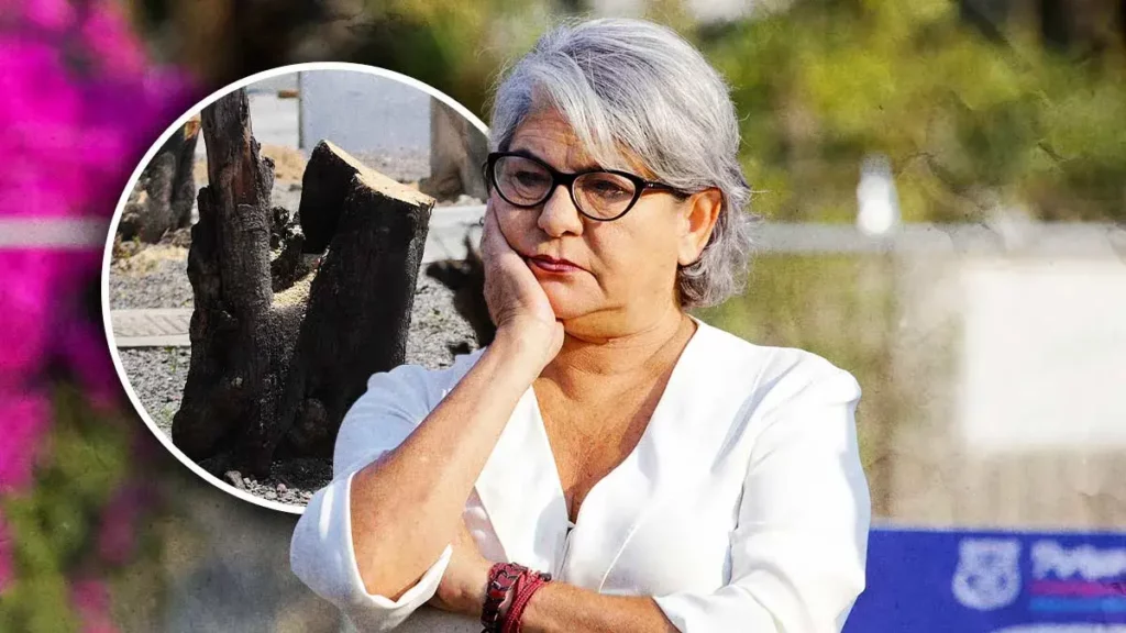 Titular de Medio Ambiente municipal, dispuesta a renunciar por tala de árboles en Puebla