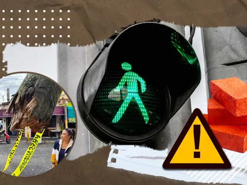 Bardas, postes y árboles, una amenaza invisible para las personas en Puebla