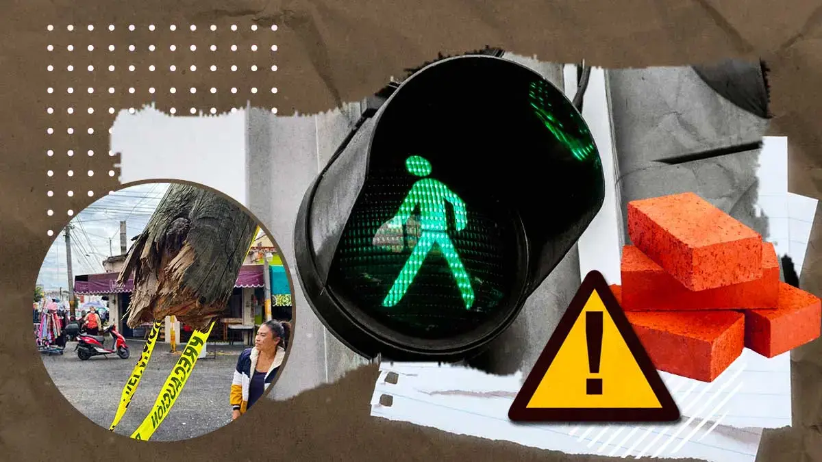 Bardas, postes y árboles, una amenaza invisible para las personas en Puebla