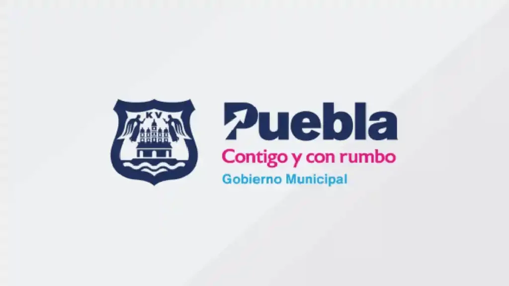 Regidores y Medio Ambiente Municipal analizan tratamiento al arbolado urbano en Puebla capital