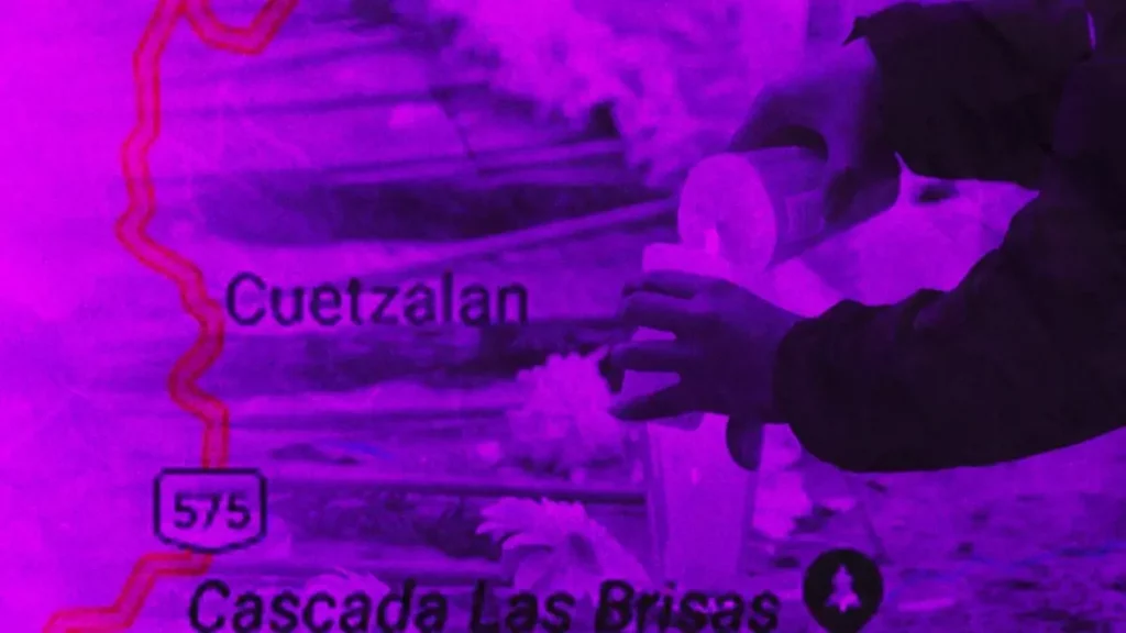 Feminicidio 26: En Cuetzalan mataron a Rosa a machetazos