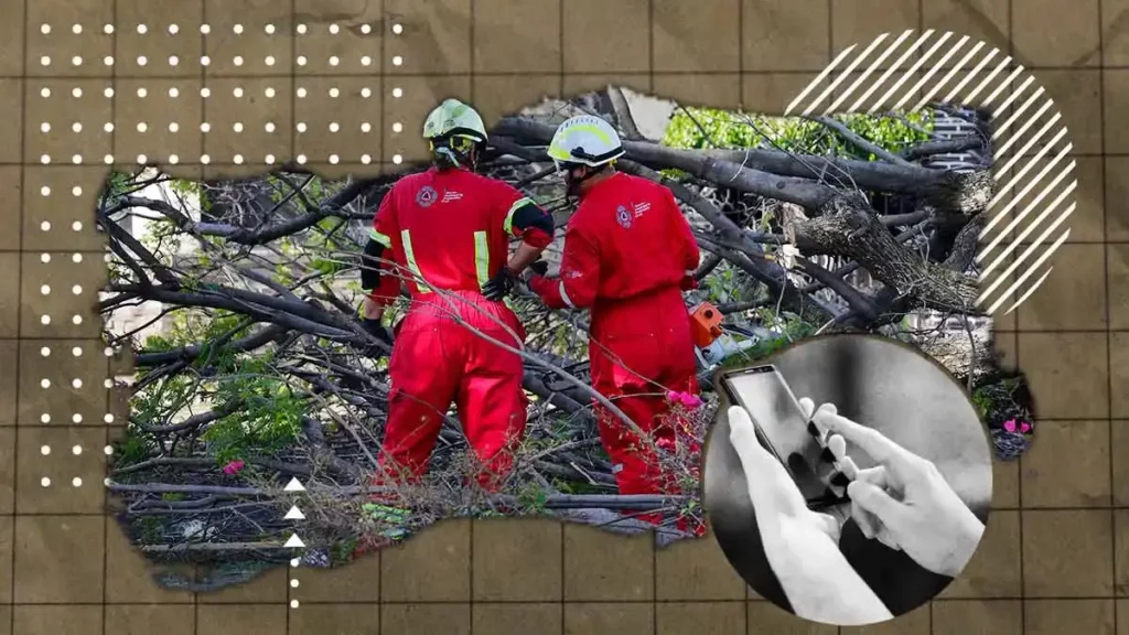 Este año, poblanos han hecho 121 llamadas de ayuda por árboles caídos o en riesgo