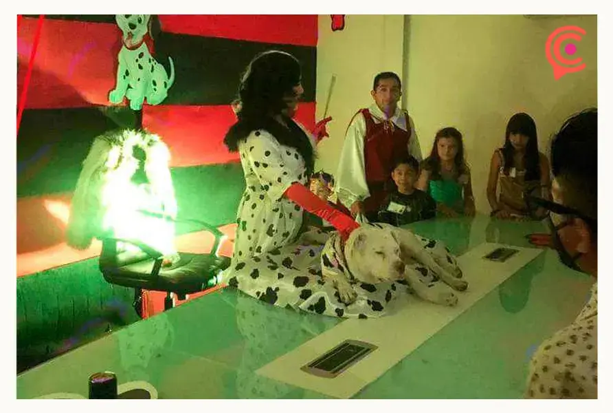 “Toyo”, el perro que fue adoptado por una agencia de autos en Puebla.