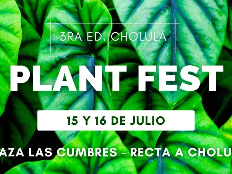 Plant Fest llega a Cholula en julio con más de 25 expositores