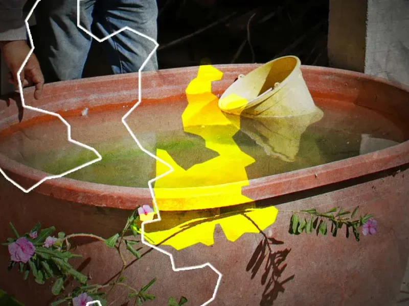 Se registra la primera muerte por dengue en Puebla durante 2023.