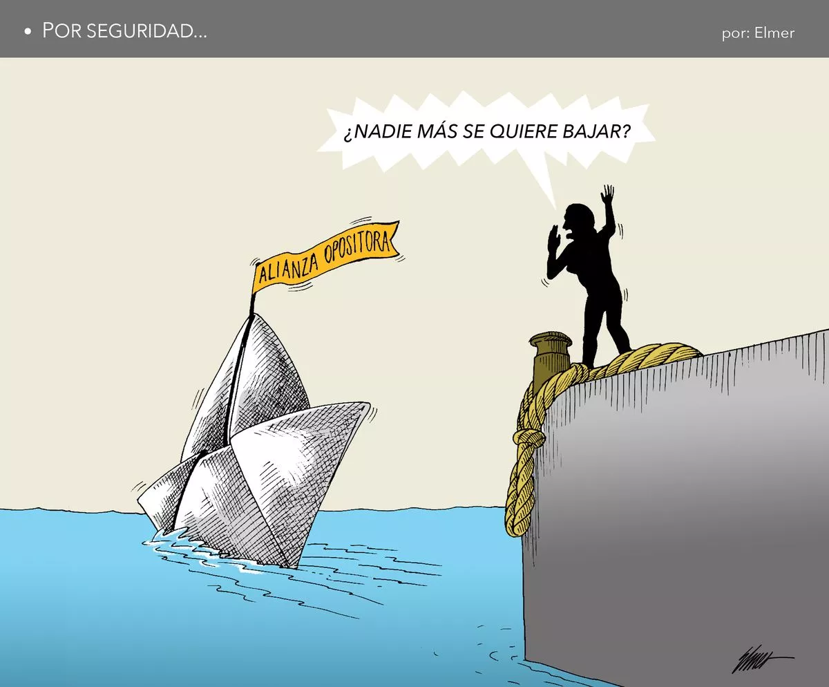 POR SEGURIDAD Elmer Sosa