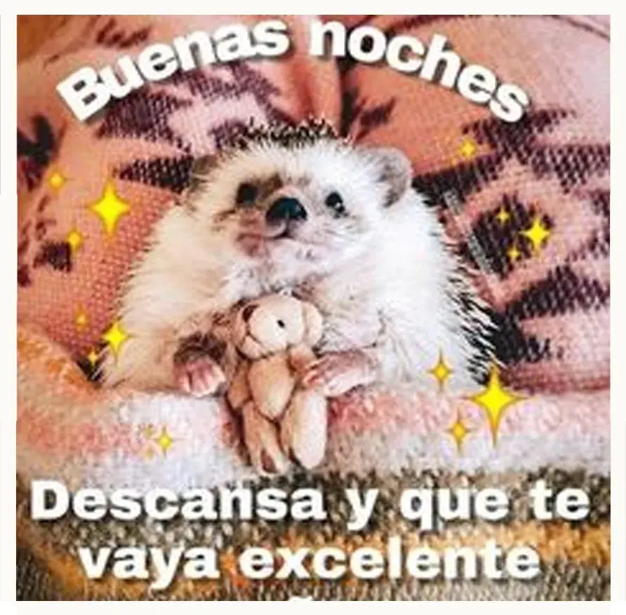 Imágenes chidas para compartir y utilizar en cualquier situación