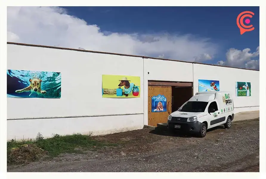 AquatiKan: el primer parque acuático para perros en Puebla.