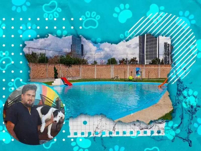 AquatiKan: el primer parque acuático para perros en Puebla.